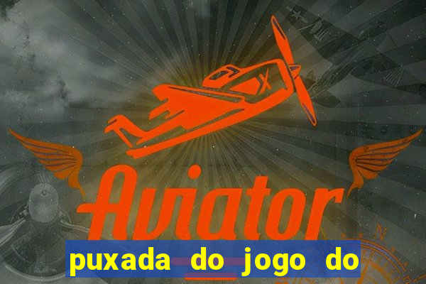 puxada do jogo do bicho da sueli